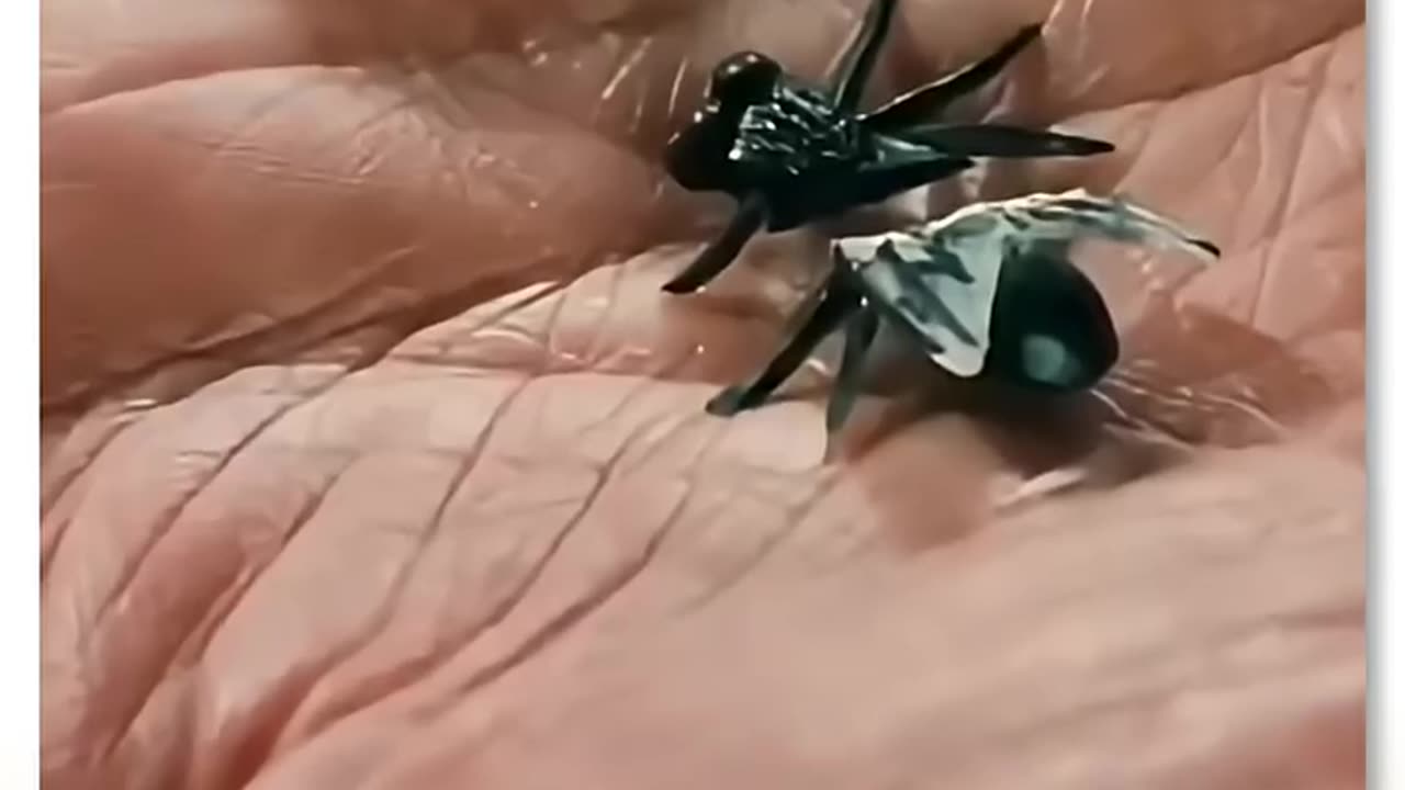That´s the atomic core!