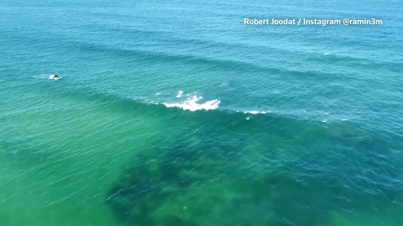 Man dies after shark attack at Sydney beach