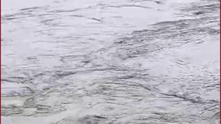 500-Rupee Bet Turns Tragic: Youth Swept Away in Yamuna