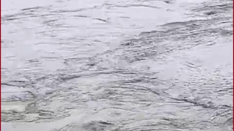 500-Rupee Bet Turns Tragic: Youth Swept Away in Yamuna
