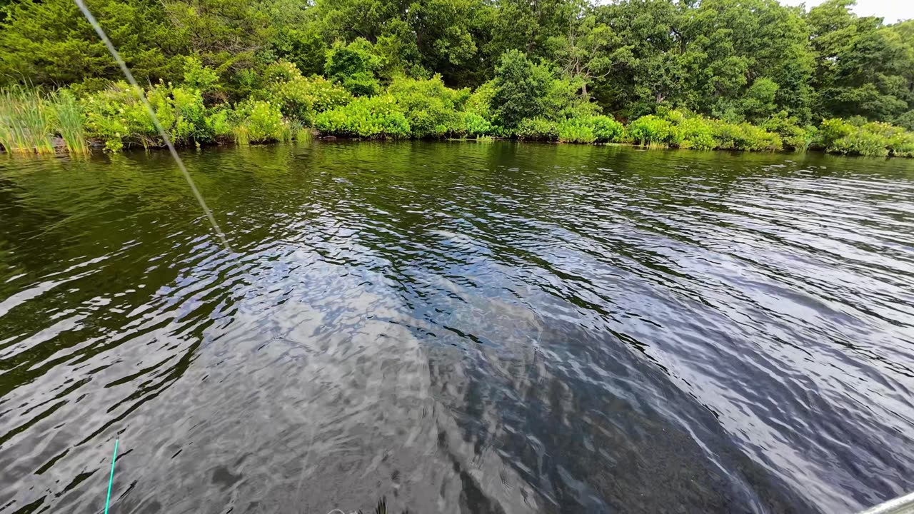 Was It Worth It To Rent This Cabin By the Lake To Go Fishing?
