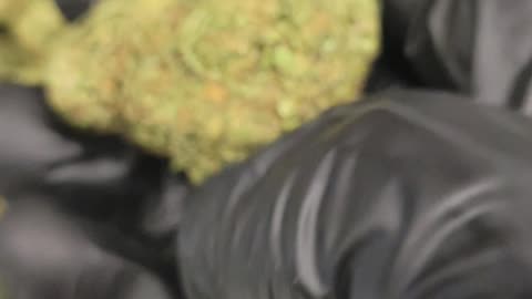 Double Runtz THCA Flower