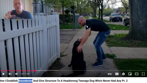 The Anti Dog Trainer - Attempting to "Chase" down the Core Ingredients of the Loose Leash Method