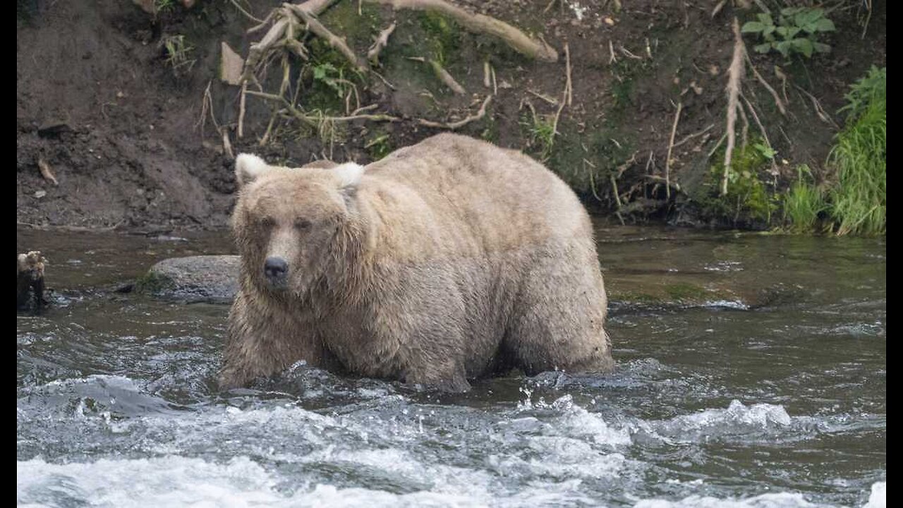 It's Here. Alaska ICE Protest Draws Literally Dozens of Activists