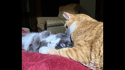 Episode 3023 CWSA 11/19/25