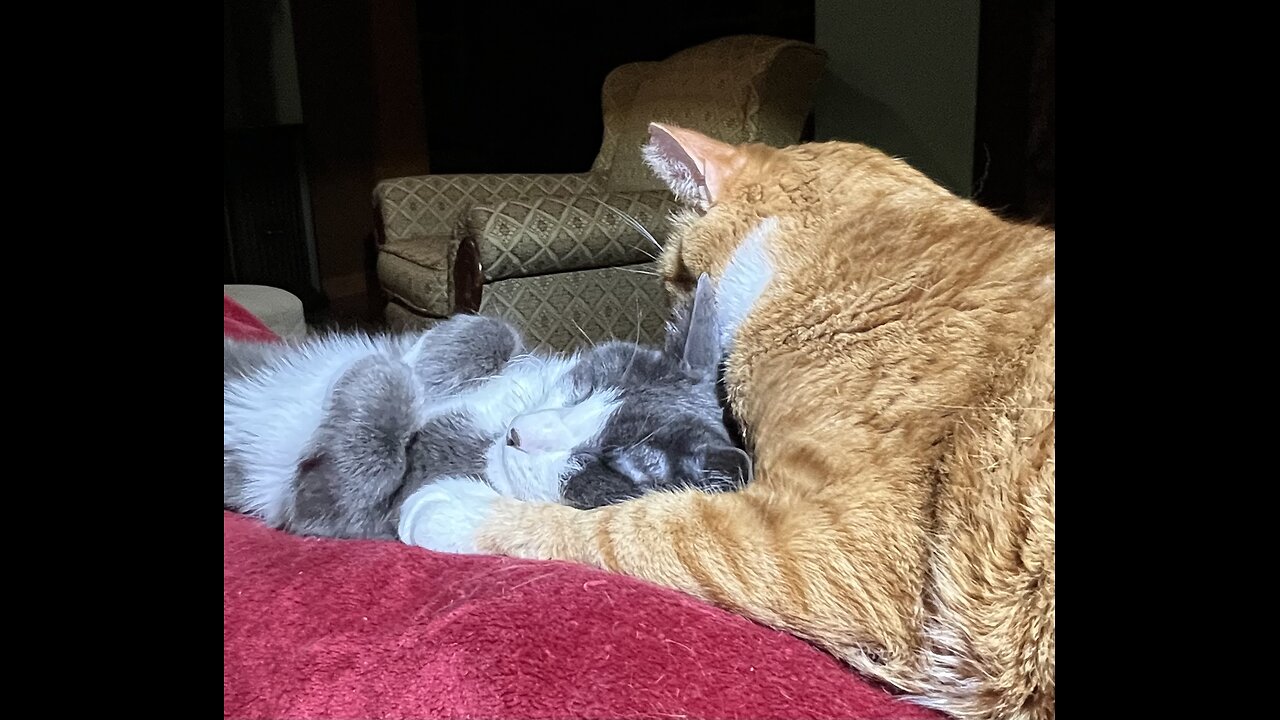 Episode 3023 CWSA 11/19/25