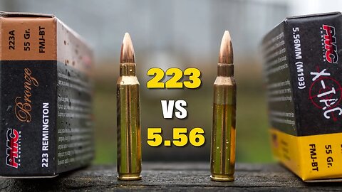 223 vs 5.56 | What's the Difference?