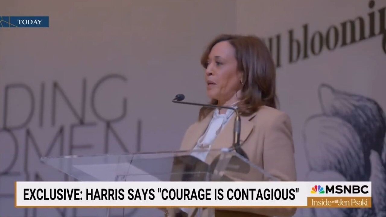Kamala Harris Comes Out Of Hiding: 'Each Day Over The Past Few Months Creates Great Sense Of Fear'