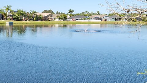 fishing my local fishing spot