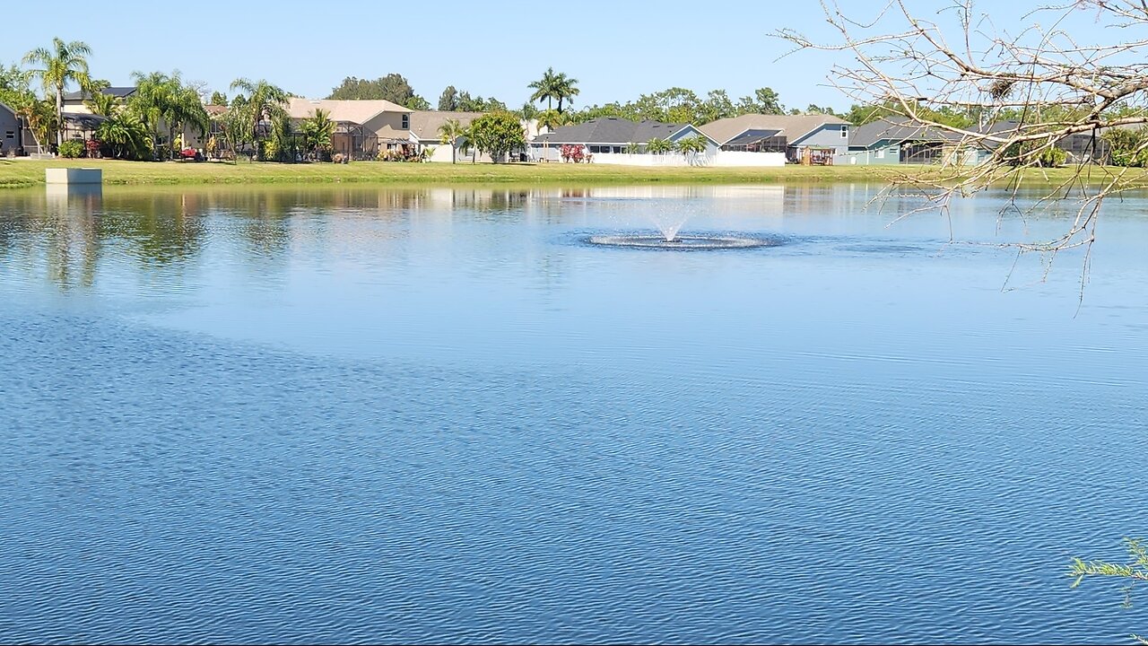fishing my local fishing spot