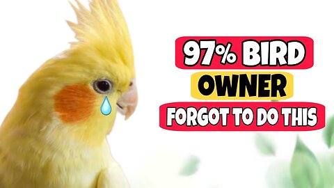 7 Secret Things Your Pet Bird Loves (That Most Owners Miss!)