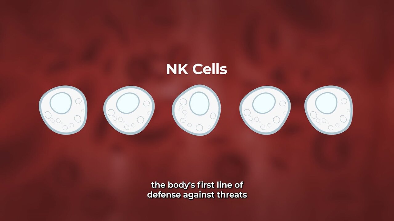 Natural Killer Cell Therapy - ImPACT Program: