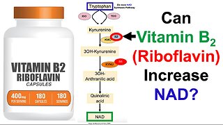 Can Riboflavin Increase NAD, Decrease Homocysteine?