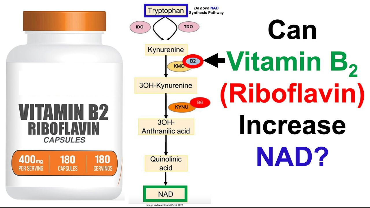 Can Riboflavin Increase NAD, Decrease Homocysteine?
