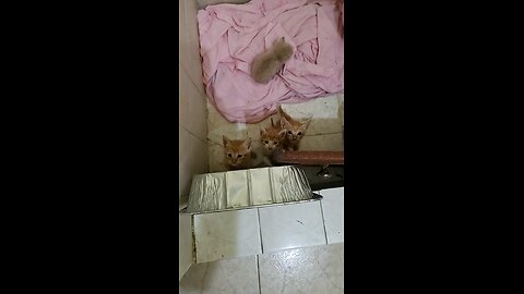 When we were tiny