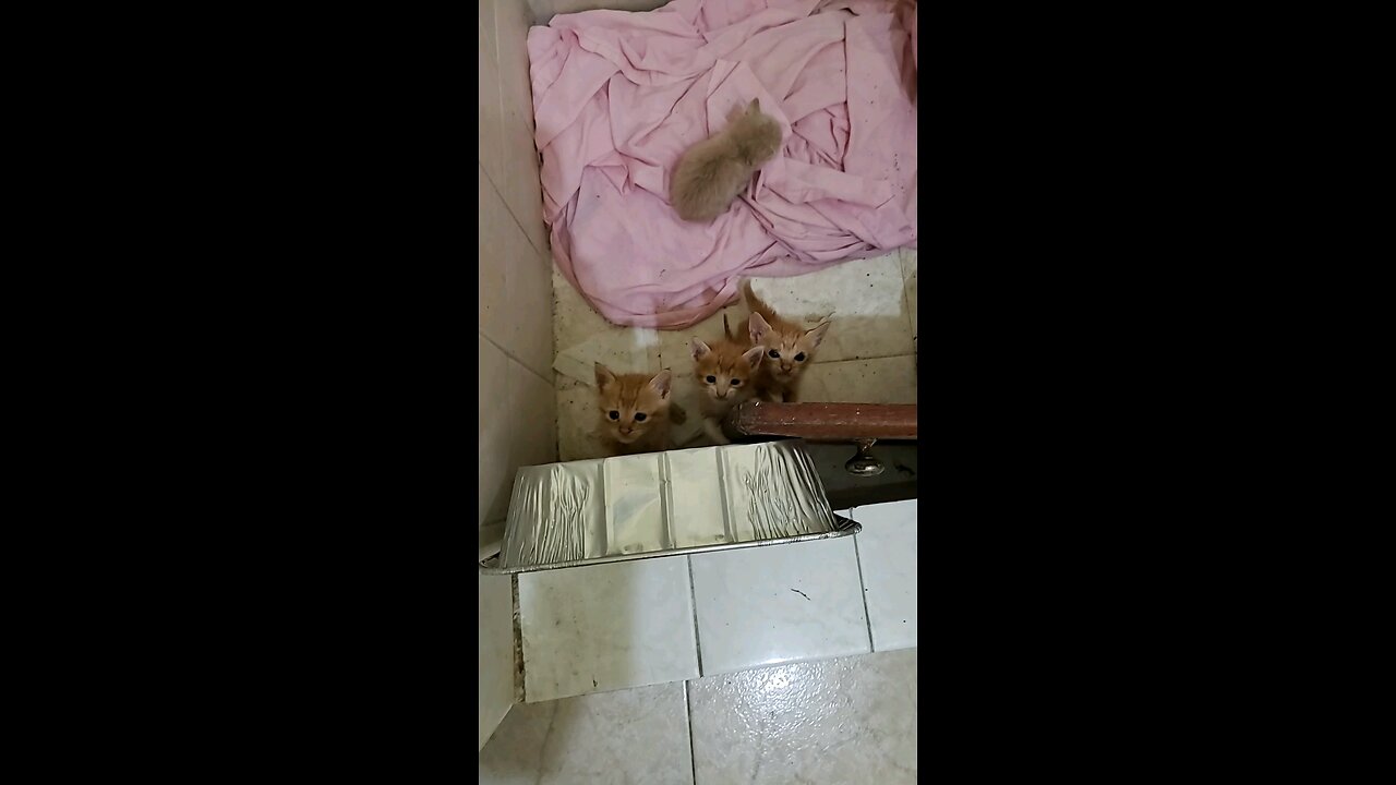 When we were tiny