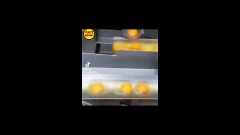 Are Your Eggs Real?!
