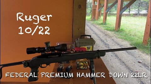 Federal Premium Hammer Down 22LR ammo testing in my Ruger 10/22