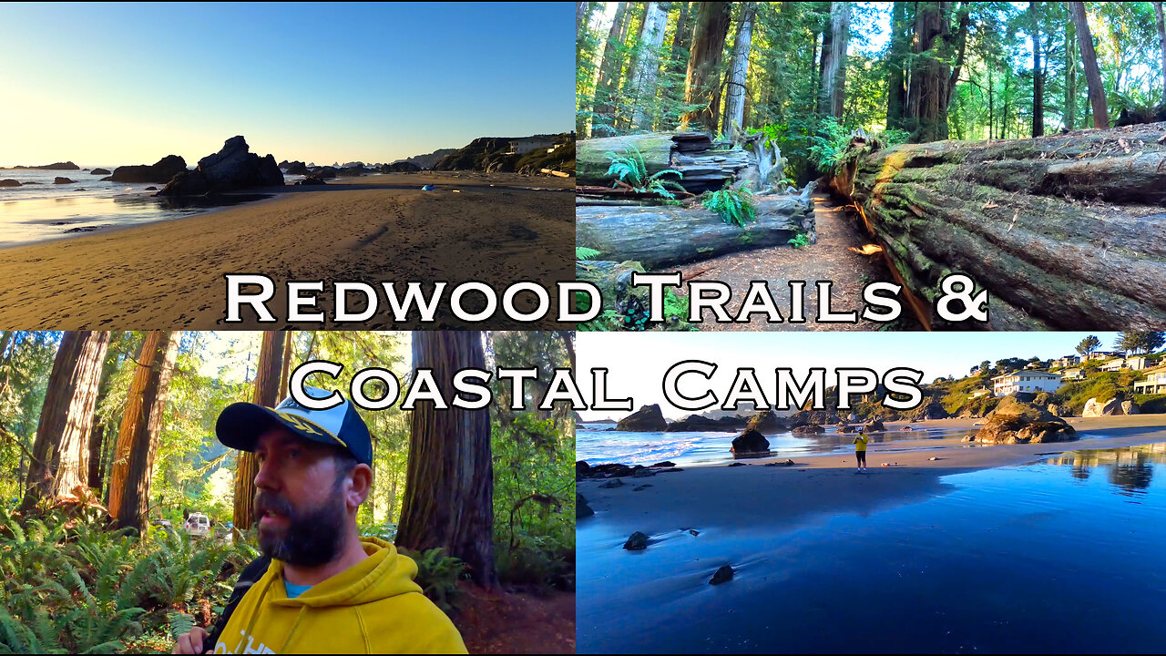 Van Life's Best Kept Secret: Redwood Trails & Ocean Camps