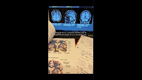 209/365 días | Lógico