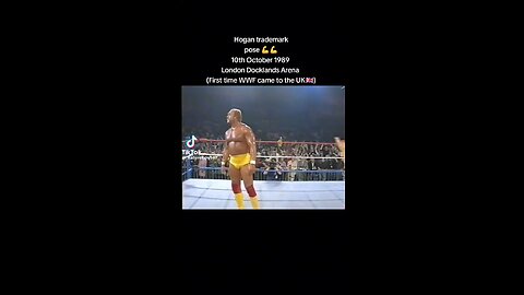 Hulk Hogan tribute 3