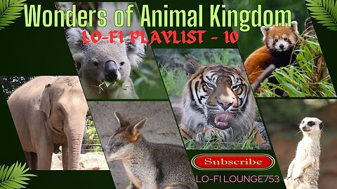 Experience Jungle Vibes in the Animal Kingdom