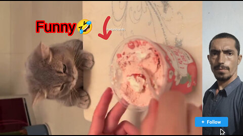 Cat Gets Angry and Knocks Food from Man’s Hands