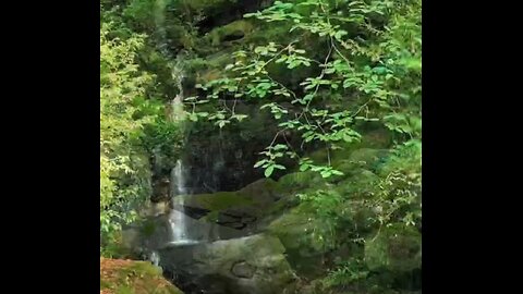 Lefour Forest Waterfall deep in the Lefour Forest