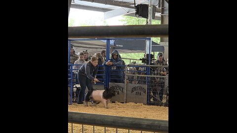 Southern Oregon Livestock jackpot 2025