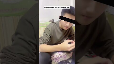 Женщина нашла выпавшего птенца и вырастила его