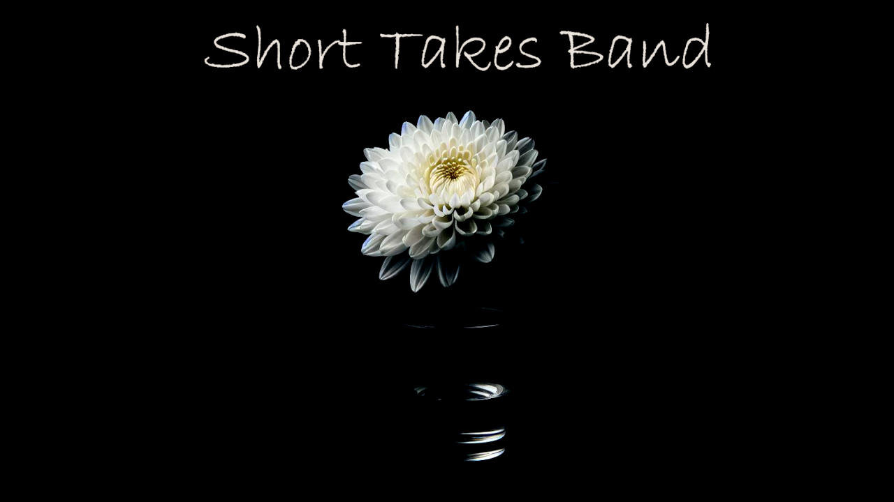 Just A Fixture (Short Takes Band)