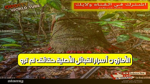 الأمازون: أسرار القبائل الأصلية حقائق لم تُروَ #الأمازون #قبائل #أسرار