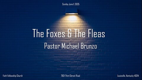The Foxes & The Fleas