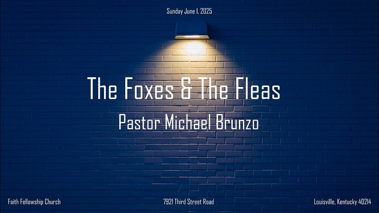 The Foxes & The Fleas