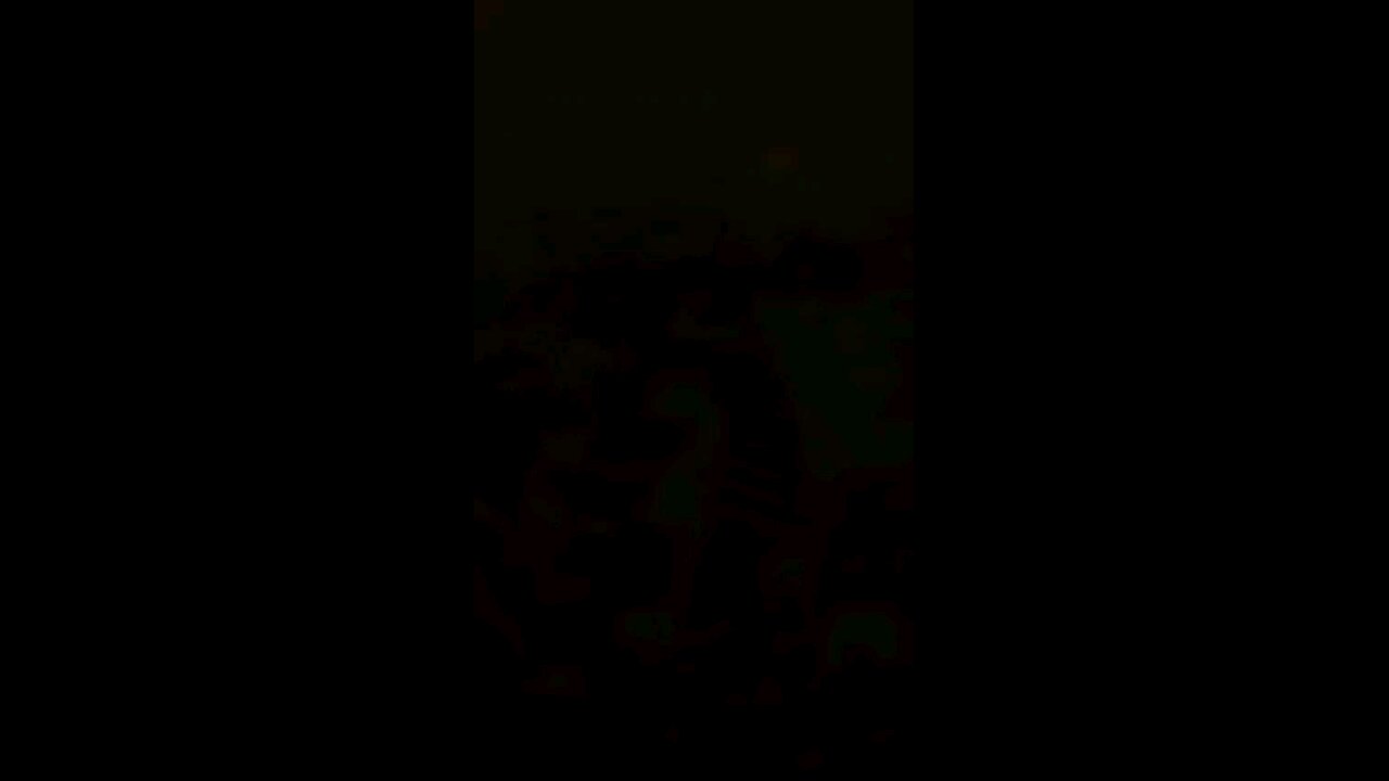 Lenta e organicamente a causa monárquica vai se capilarizando no BR.