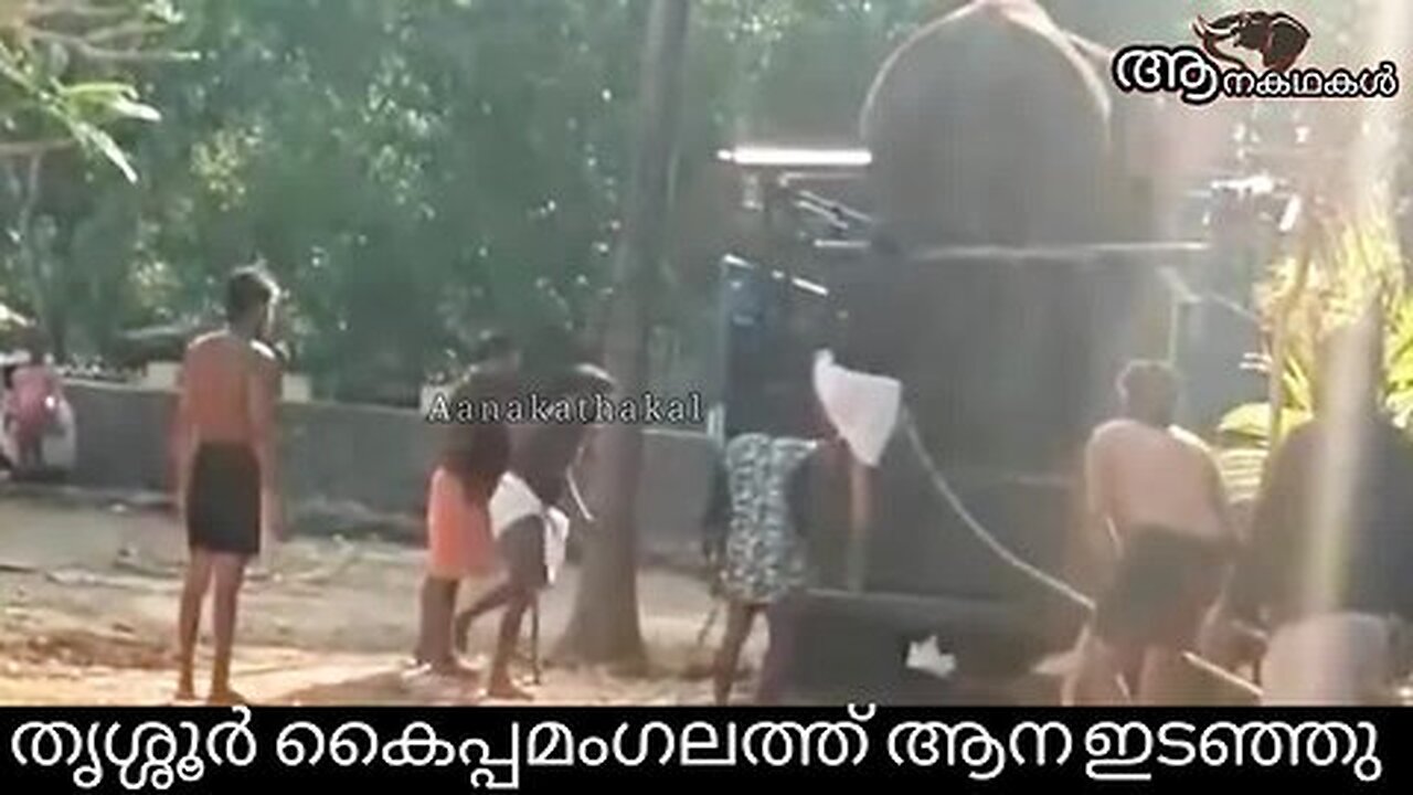 ശിവൻകുട്ടി ഇടഞ്ഞു, പരിഭ്രാന്തി പരത്തി _ Elephant attack kerala 2025 _ Elephant video