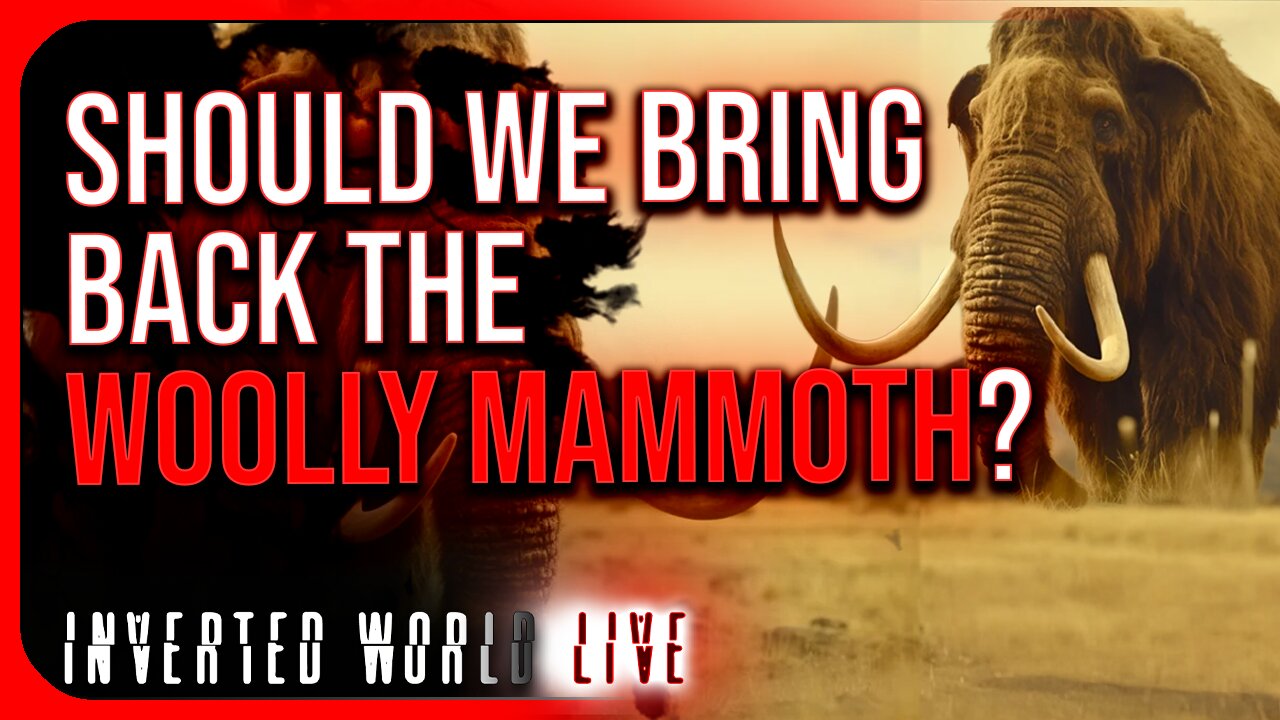 Should We Bring Back the Woolly Mammoth?