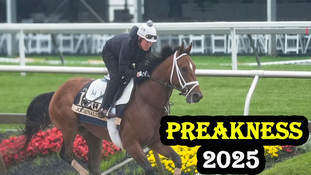 2025 Preakness Stakes Preview: Weather, Top 3 Picks & Race Day Insights | NEWSDRIFT