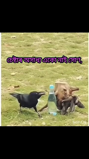 চেষ্টাৰ অসাধ্য একো নাই সোণ,