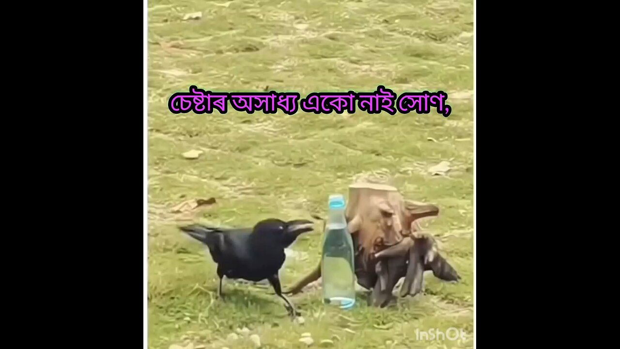 চেষ্টাৰ অসাধ্য একো নাই সোণ,