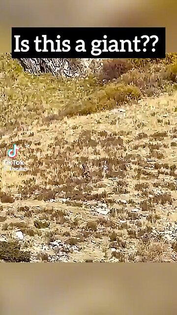 Giant Captured On Film!!