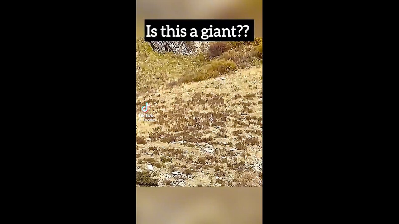 Giant Captured On Film!!