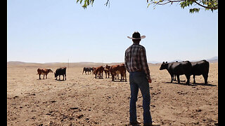 Trump The Keynesian: Bails Out Argentina While U.S. Farmers Suffer
