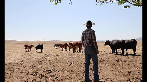 Trump The Keynesian: Bails Out Argentina While U.S. Farmers Suffer