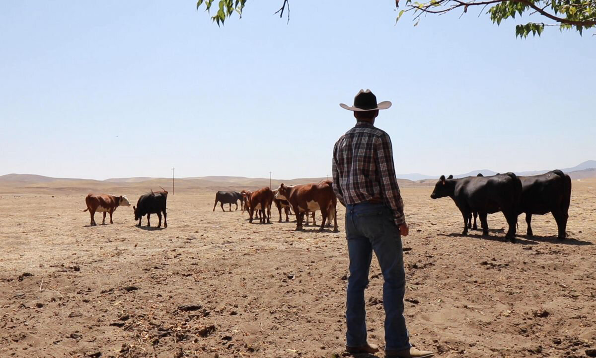 Trump The Keynesian: Bails Out Argentina While U.S. Farmers Suffer