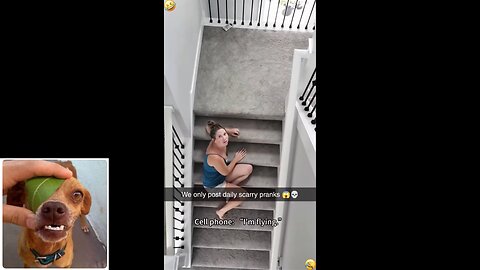 Funny videos compilation 60