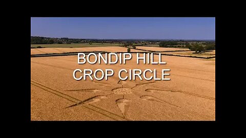 Crop Circle - Bondip Hill, Nr Kingsdon, Somerset, England - 17 June 2025
