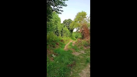 satisfying Video