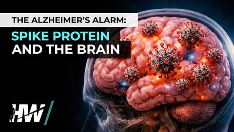 THE ALZHEIMER’S ALARM: SPIKE PROTEIN AND THE BRAIN | The High Wire