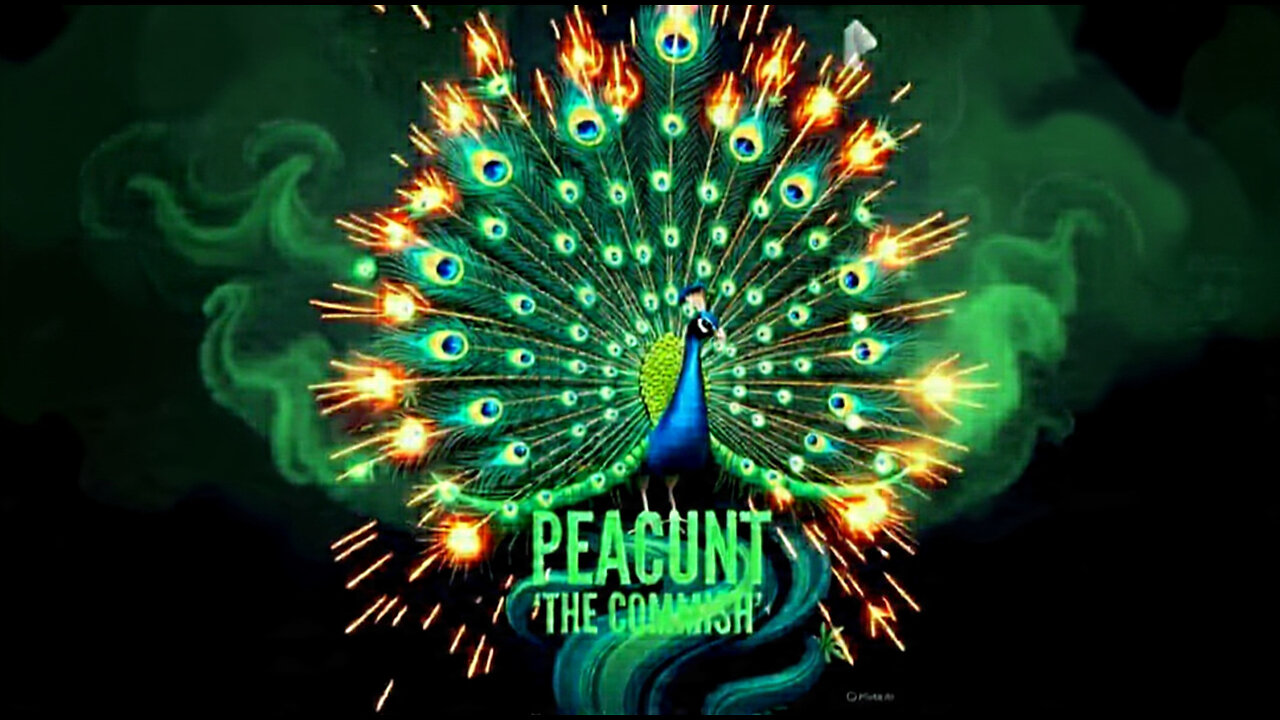 MORNING HIGH 🌞SATURDAY